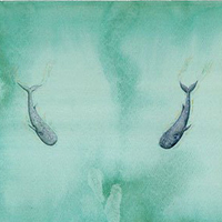 Peter Sís «An Ocean World»