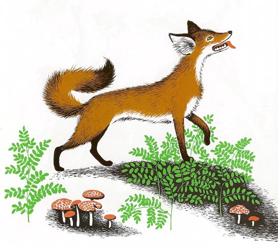 Barbara Cooney "Chanticleer and the Fox"